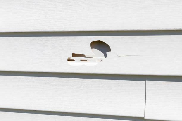 Best Custom Trim and Detailing for Siding  in Pinehurst, TX