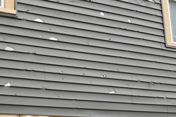 Best Composite Siding  in Pinehurst, TX