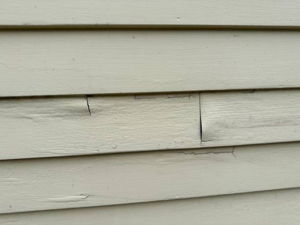 Best Siding for Multi-Family Homes  in Pinehurst, TX